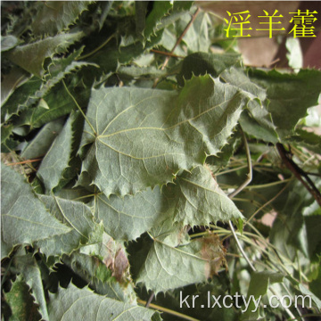 Epimedium 차 건강에 좋다